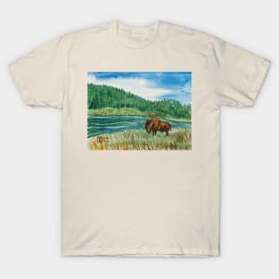 Buffalo at the river in the park T-Shirt